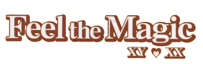Feel the Magic - XY-XX (USA) (En,Ja) emulator for Nintendo DS